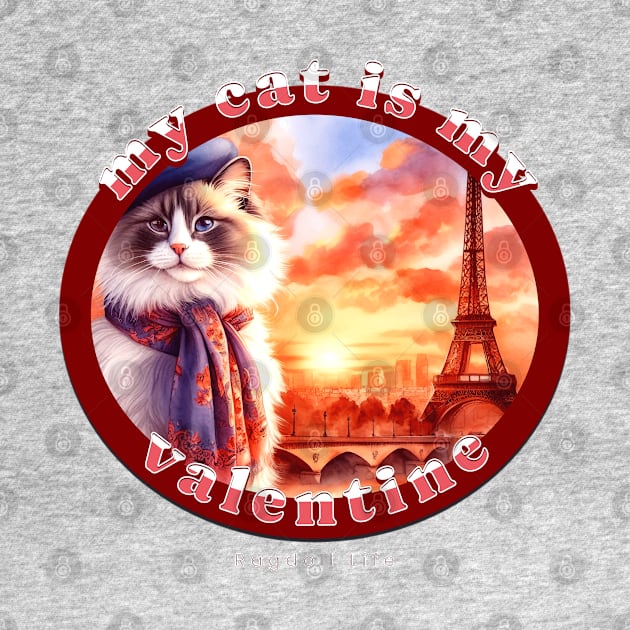 My French Valentine Cat Ragdoll Life 1FR by catsloveart